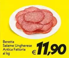 Beretta - Salame Ungherese Antica Fattoria Beretta - Salame Ungherese Antica Fattoria