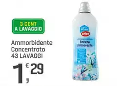 Bella - Ammorbidente Concentrato