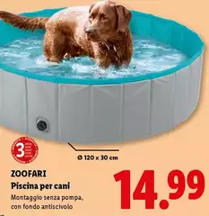 Zoofari - Piscina Per Cani Zoofari - Piscina Per Cani