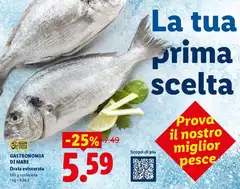 Gastronomia Di Mare Orata Eviscerata