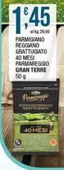 Reggiano - Parmigiano  Grattugiato 40 Mesi Parmareggio