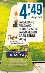 Reggiano - Parmigiano  Oltre 12 Mesi Parmareggio
