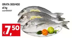 Orata Orata