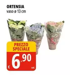 Ortensia Ortensia