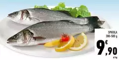 Spigola Spigola