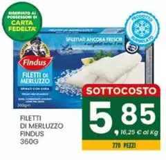Findus - Filetti Di Merluzzo