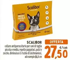 Collare Antiparassitario Per Cani Di Taglia Piccola E Media, Repelle Pappartai, Puli E Zecche, Dimmniuse Il Rischio Di Leishmaniosi, Ad Espempioio Collare Antiparassitario Per Cani Di Taglia Piccola E Media, Repelle Pappartai, Puli E Zecche, Dimmniuse Il Rischio Di Leishmaniosi, Ad Espempioio