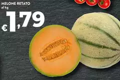 Melone Retato Melone Retato