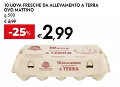 Ovo Mattino - 10 Uova Fresche Da Allevamento A Terra Ovo Ovo Mattino - 10 Uova Fresche Da Allevamento A Terra Ovo