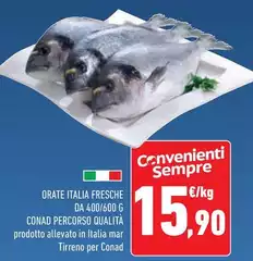 Conad - Orate Italia Fresche Da 400/600 G Percorso Qualità