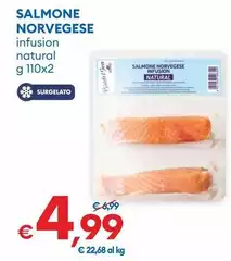 Salmone Norvegese Salmone Norvegese
