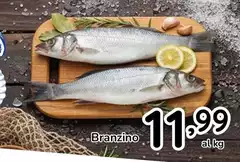 Branzino Branzino