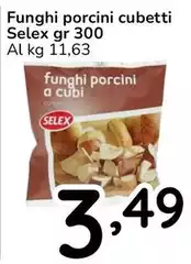 Selex - Funghi Porcini Cubetti