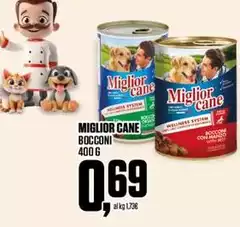 Morando - Miglior Cane Bocconi Morando - Miglior Cane Bocconi