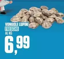 Vongole Lupini Fresche Vongole Lupini Fresche