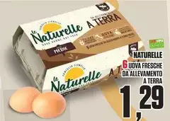 Le Naturelle - Uova Fresche Da Allevamento A Terra Le Naturelle - Uova Fresche Da Allevamento A Terra