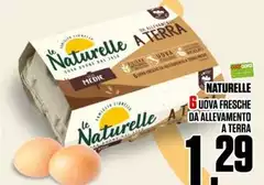 Le Naturelle - 6 Uova Fresche Da Allevamento A Terra Le Naturelle - 6 Uova Fresche Da Allevamento A Terra