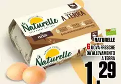 Le Naturelle - 6 Uova Fresche Da Allevamento A Terra Le Naturelle - 6 Uova Fresche Da Allevamento A Terra
