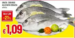 Orata 300/600 Allevata Croazia Orata 300/600 Allevata Croazia