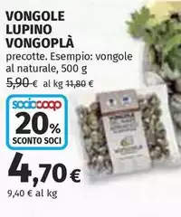 Vongoplà - Vongole Lupino Vongoplà - Vongole Lupino