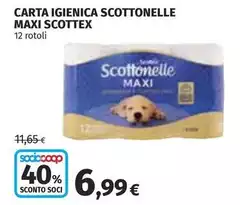 Scottex - Carta Igienica Scottonelle Maxi Scottex - Carta Igienica Scottonelle Maxi