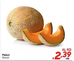 Meloni Meloni