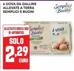 Semplici e buoni - 6 Uova Da Galline Allevate A Terra Semplici e buoni - 6 Uova Da Galline Allevate A Terra