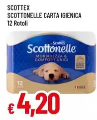 Scottex - Scottonelle Carta Igienica Scottex - Scottonelle Carta Igienica
