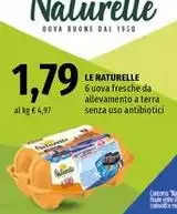 Le Naturelle - Uova Fresche Da Allevamento A Terra Senza Uso Antibiotici Le Naturelle - Uova Fresche Da Allevamento A Terra Senza Uso Antibiotici