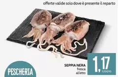 Solo - Seppia Nera Solo - Seppia Nera