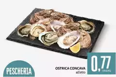 Ostrica Concava Ostrica Concava
