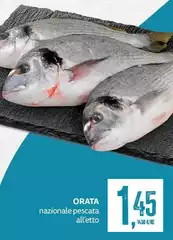 Orata Orata