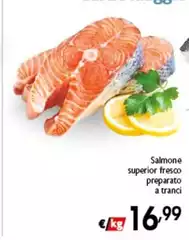 Salmone Superior Fresco Preparato A Tranci Salmone Superior Fresco Preparato A Tranci