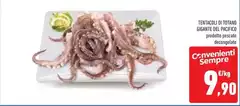 Tentacoli Di Totano Gigante Del Pacifico