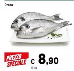 Orata Orata