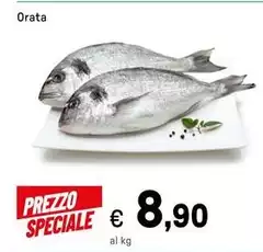 Orata Orata