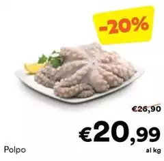 Polpo