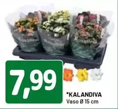 Kalandiva