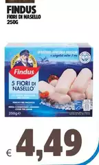 Findus - Fiori Di Nasello