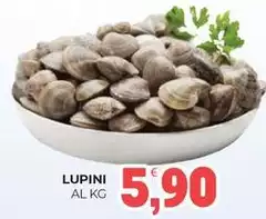 Lupini