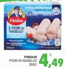 Findus - Fiori Di Nasello