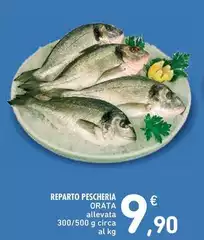 Reparto Pescheria Orata Reparto Pescheria Orata