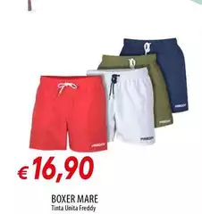 Mare - Boxer Mare - Boxer