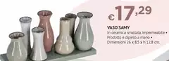 Vaso Samy