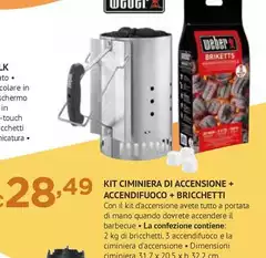 Weber - Kit Ciminiera Di Accensione + Accendifuoco + Bricchetti