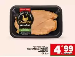 Amadori - Petto Di Pollo Allevato All'aperto Amadori - Petto Di Pollo Allevato All'aperto