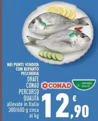 Conad - Orate Percorso Qualità Conad - Orate Percorso Qualità
