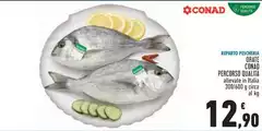 Conad - Orate Percorso Qualità Conad - Orate Percorso Qualità