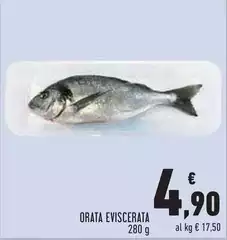 Orata Eviscerata Orata Eviscerata