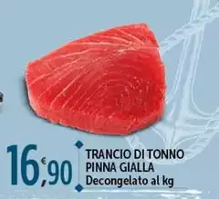 Trancio Di Tonno Pinna Gialla Trancio Di Tonno Pinna Gialla